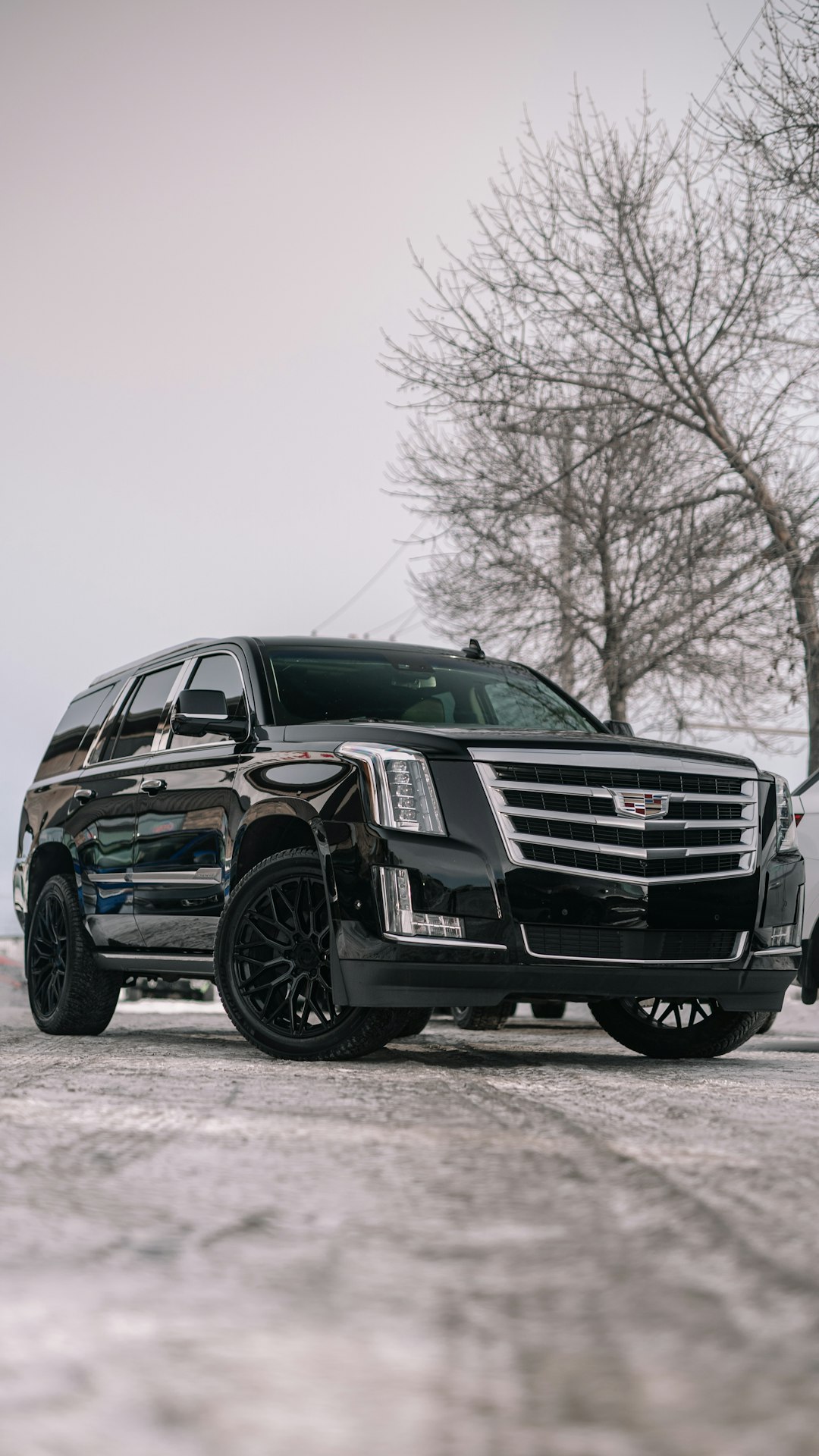 a-black-cadillac-parked-in-a-parking-lot-swh-bwdisfq