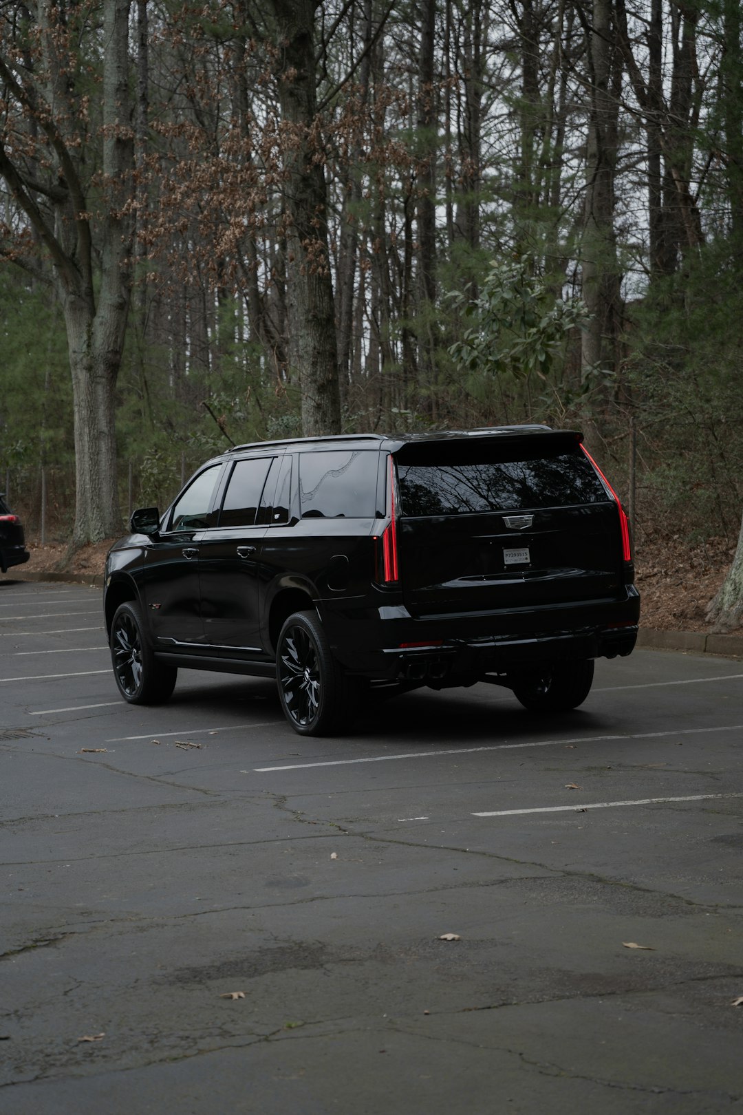 black-suv-parked-in-a-forest-lot-xopnps1eb0y